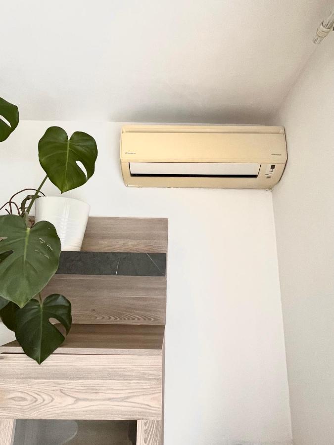 Antibes Home 2P 50M2 With Ac & Free Parking & 2 Balconies 외부 사진